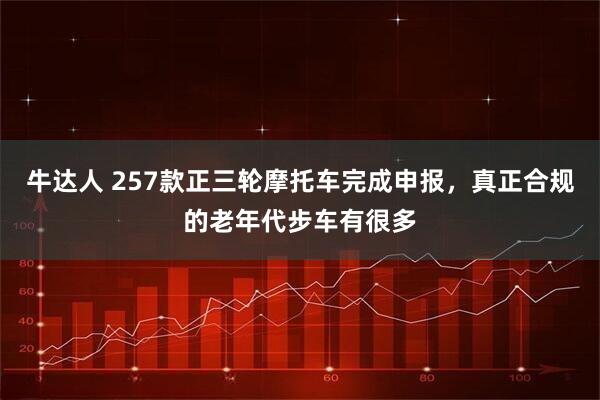 牛达人 257款正三轮摩托车完成申报，真正合规的老年代步车有很多
